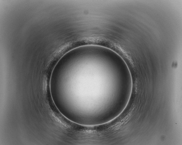 X0000096170637200801251152