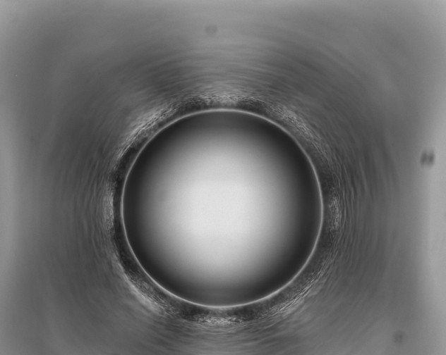 X0000096170638200801251152