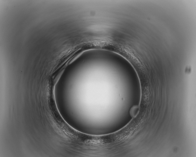 X0000096170639200801251152