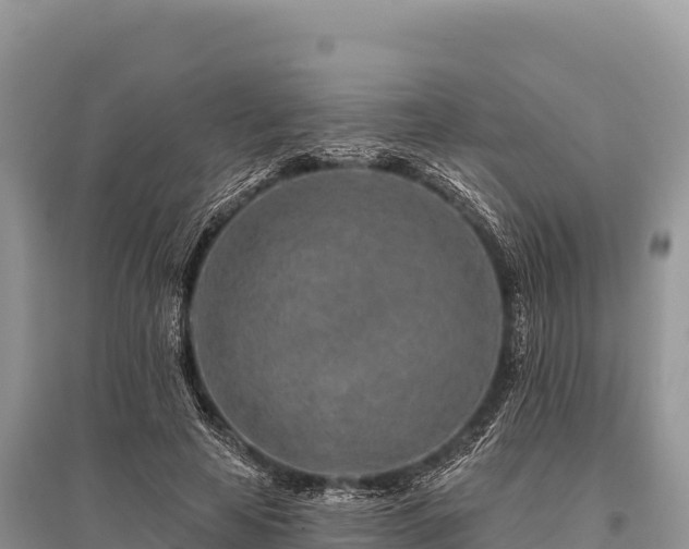 X0000096170641200801251152