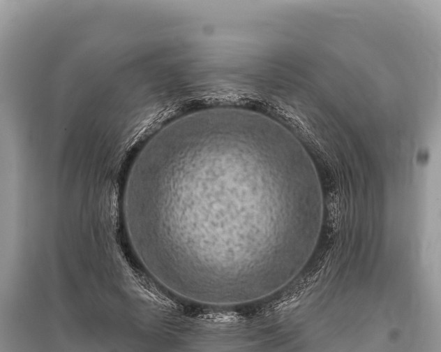 X0000096170642200801251152