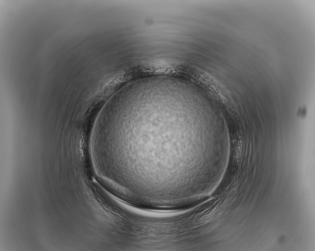 X0000096170643200801251152