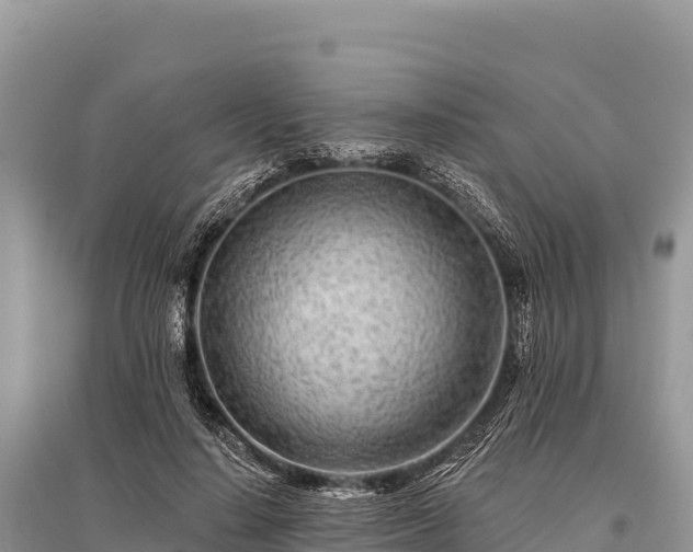 X0000096170644200801251152