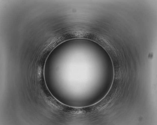 X0000096170646200801251152