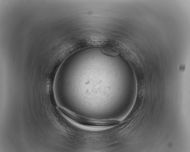 X0000096170647200801251152