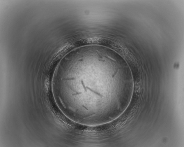 X0000096170648200801251152