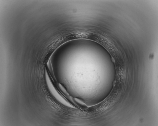 X0000096170649200801251152