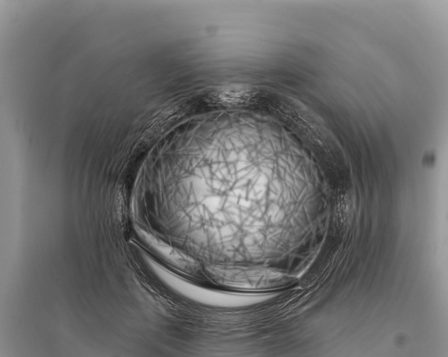 X0000096170651200801251152