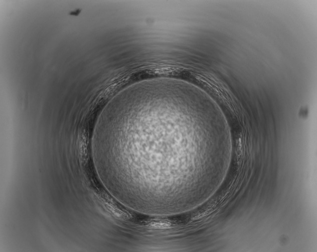 X0000096170653200801251152