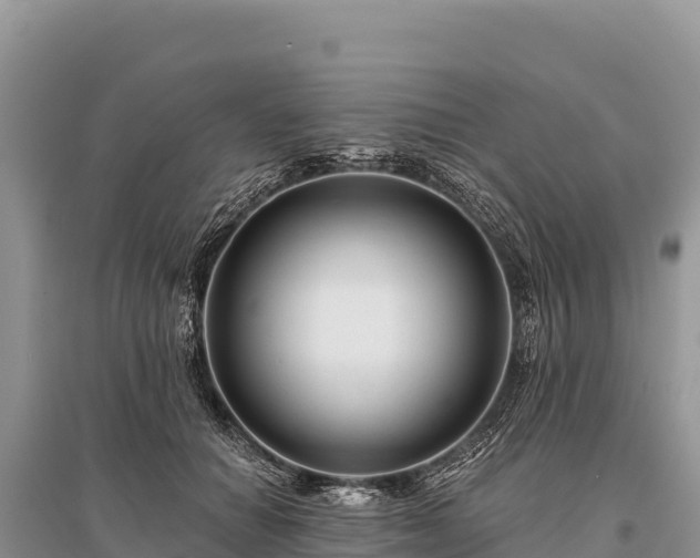 X0000096170654200801251152