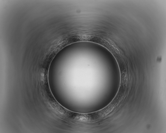 X0000096170655200801251152