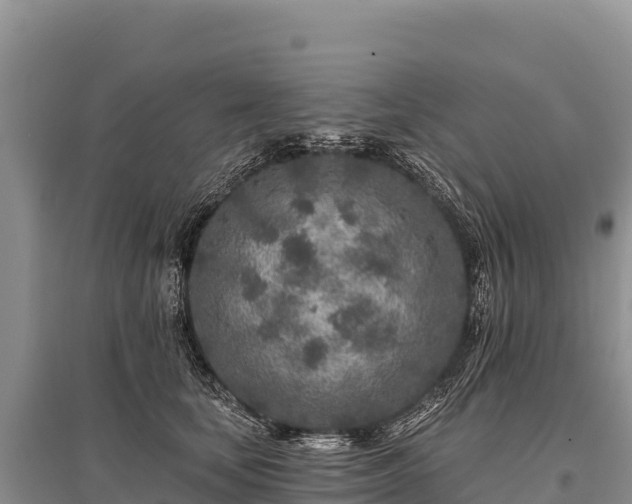 X0000096170659200801251152