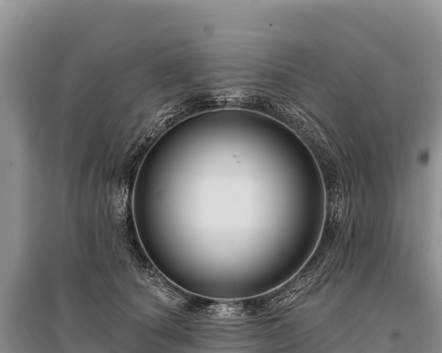 X0000096170660200801251152