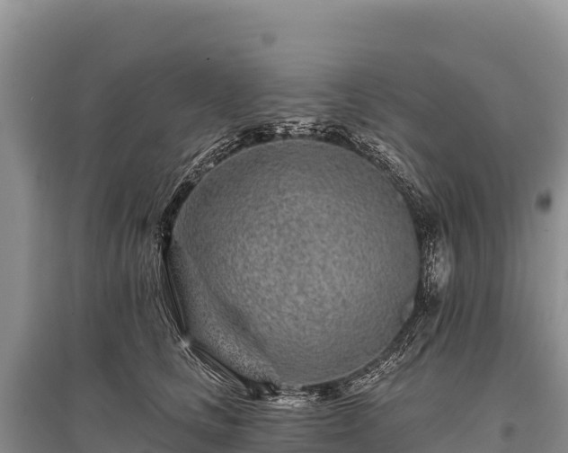 X0000096170661200801251152