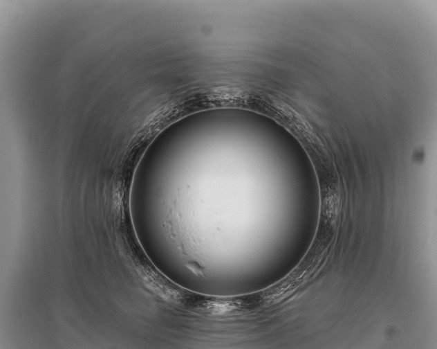 X0000096170662200801251152