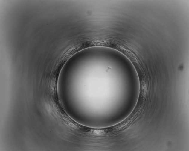 X0000096170665200801251152