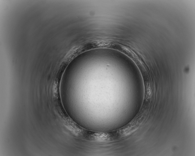 X0000096170667200801251152