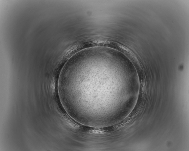 X0000096170668200801251152