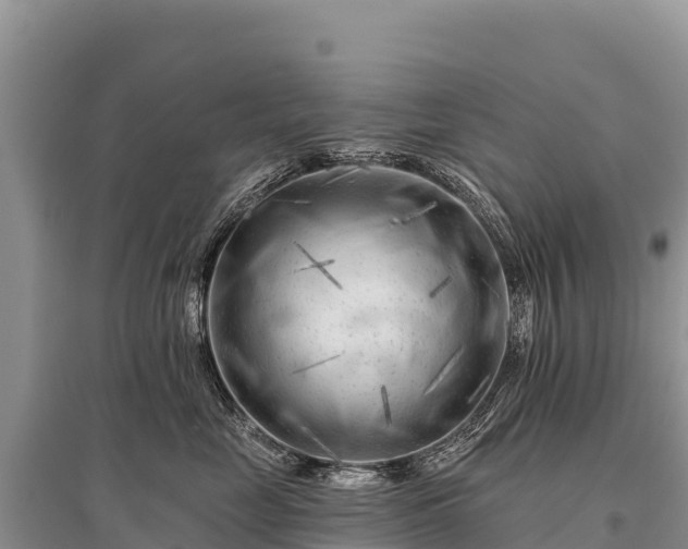 X0000096170669200801251152
