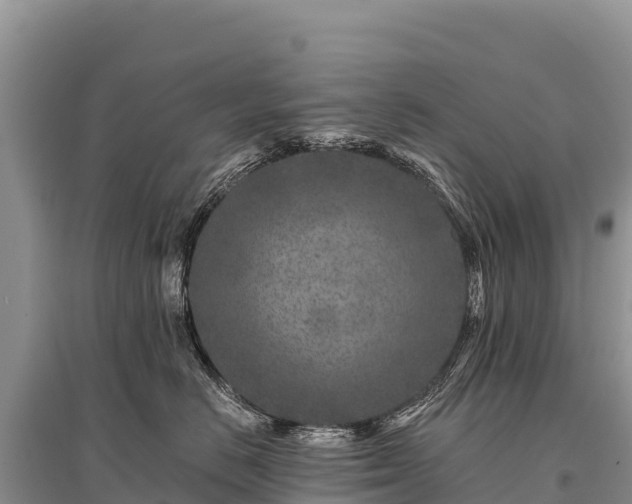 X0000096170670200801251152