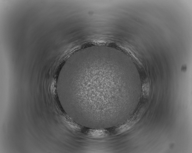 X0000096170671200801251152