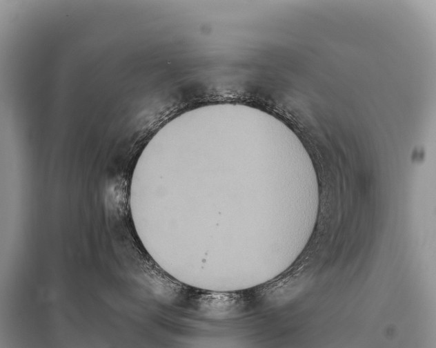 X0000096170672200801251152