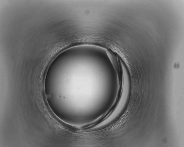 X0000096170673200801251151