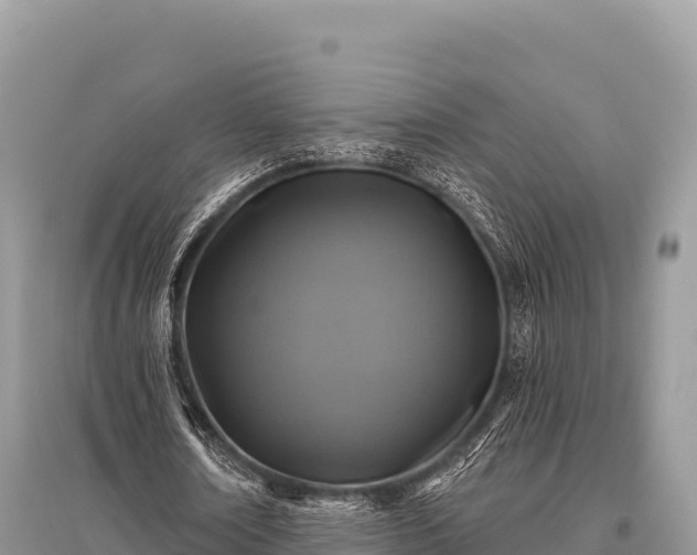 X0000096170674200801251151