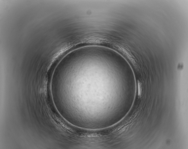 X0000096170675200801251151