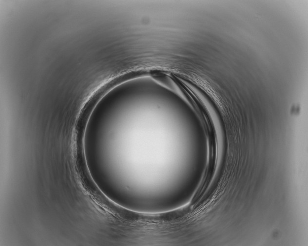 X0000096170676200801251151