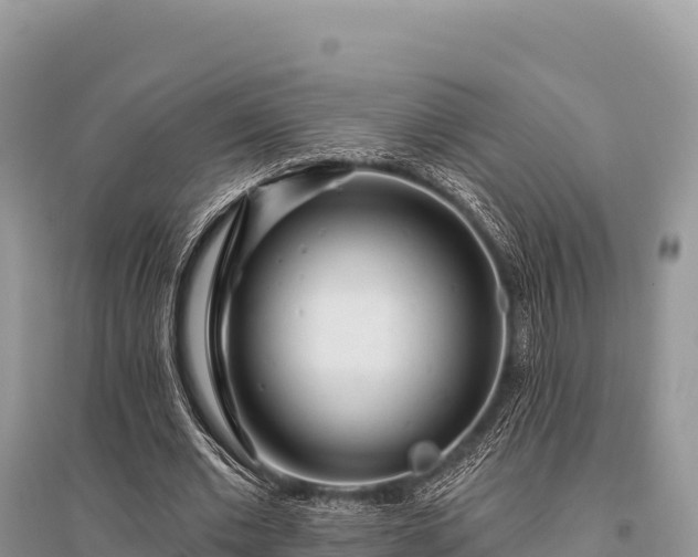 X0000096170677200801251151