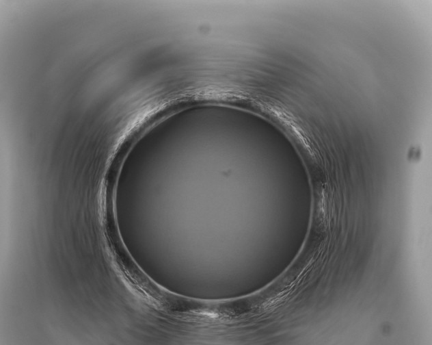 X0000096170678200801251151