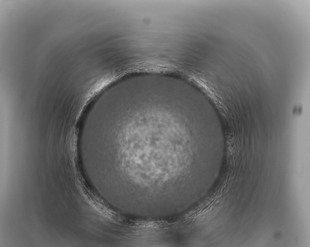 X0000096170679200801251151