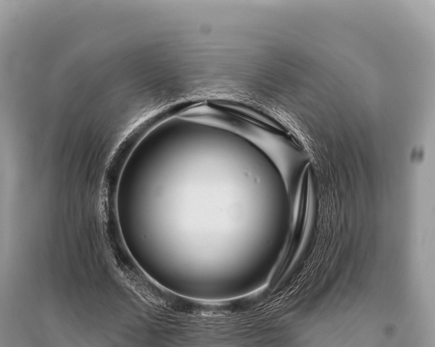 X0000096170680200801251151