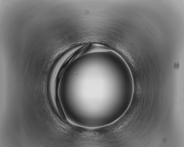 X0000096170681200801251151