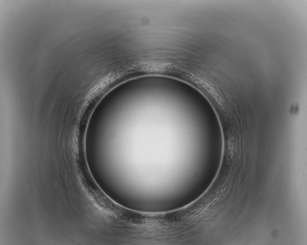 X0000096170682200801251151