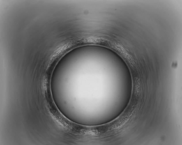 X0000096170683200801251151