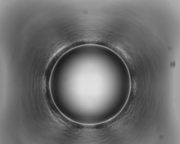 X0000096170684200801251151