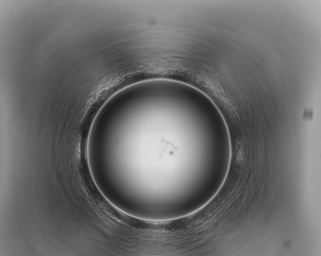 X0000096170685200801251151