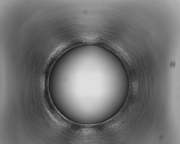 X0000096170686200801251151