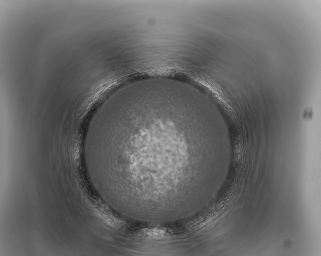 X0000096170687200801251151