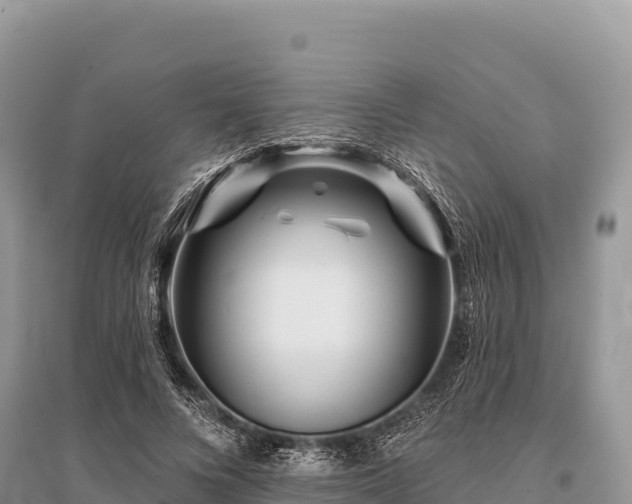 X0000096170688200801251151