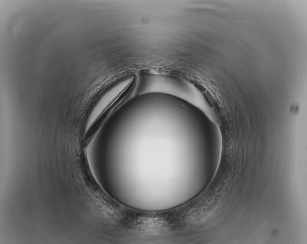 X0000096170689200801251151