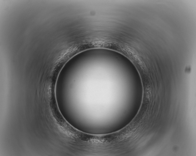 X0000096170690200801251151