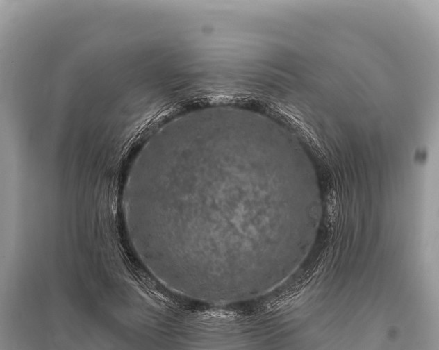 X0000096170691200801251151