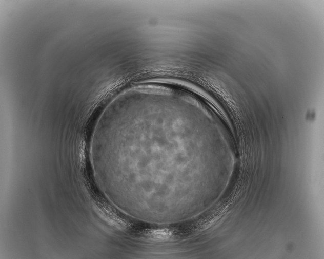 X0000096170692200801251151