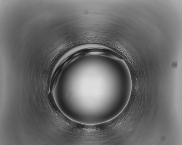 X0000096170693200801251151