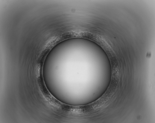 X0000096170694200801251151