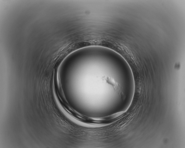 X0000096170697200801251151