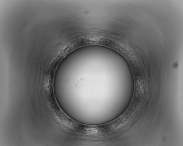 X0000096170698200801251151